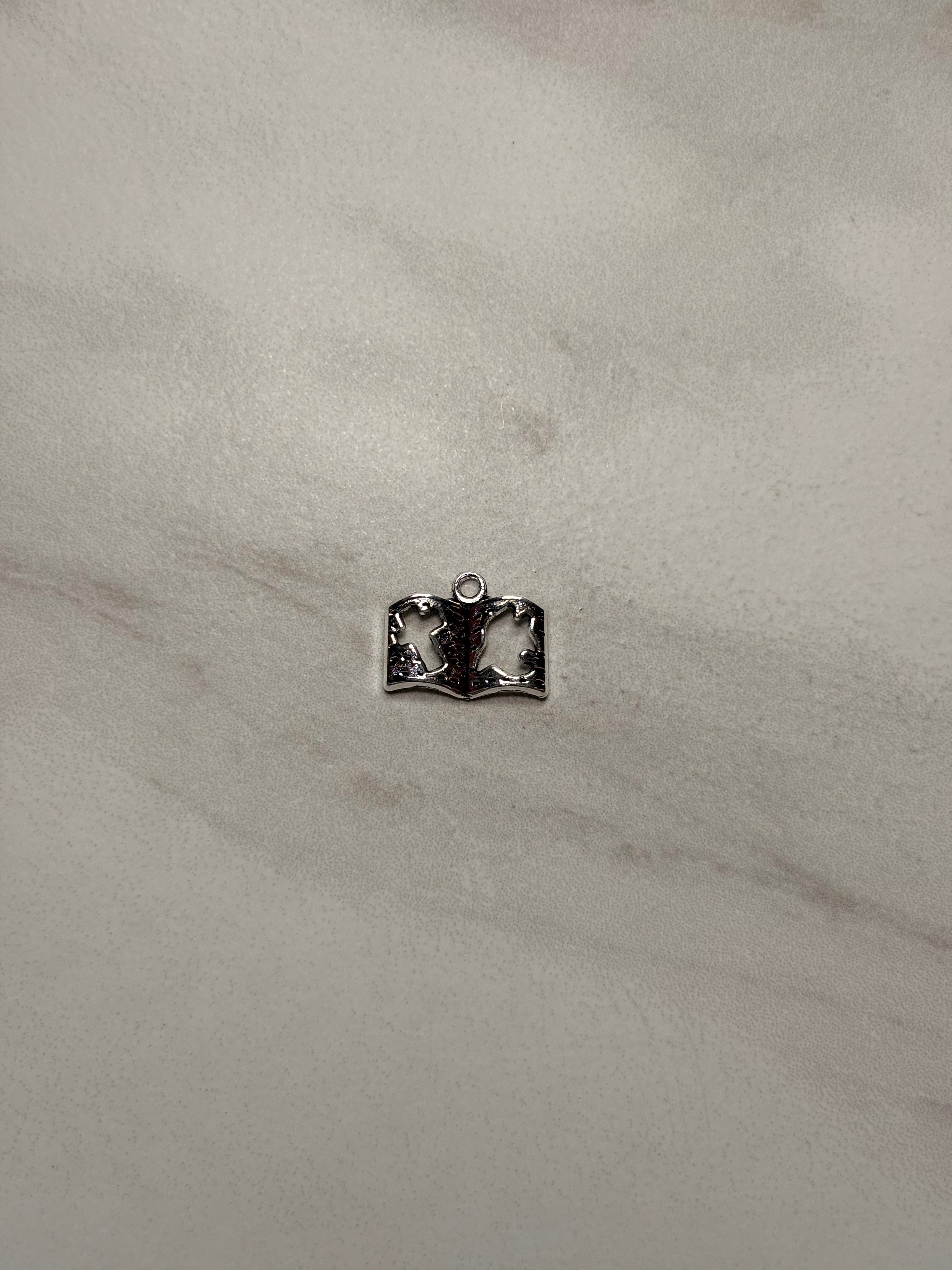 Bible Charm