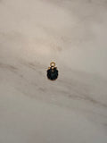 Gold Colored Clam Shell Charm