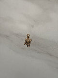 Turtle Charms